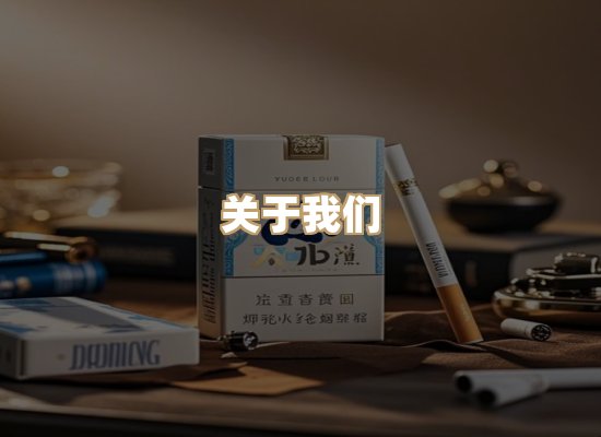 关于御龙烟网